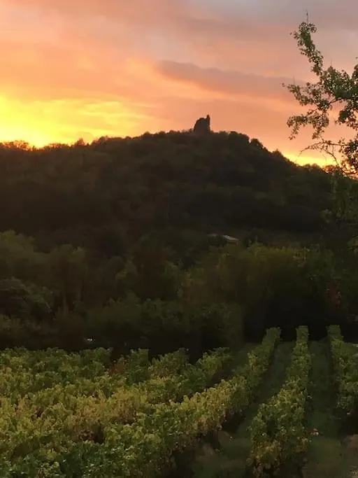 Eco-Gite En Ardeche Viviers Franciaország