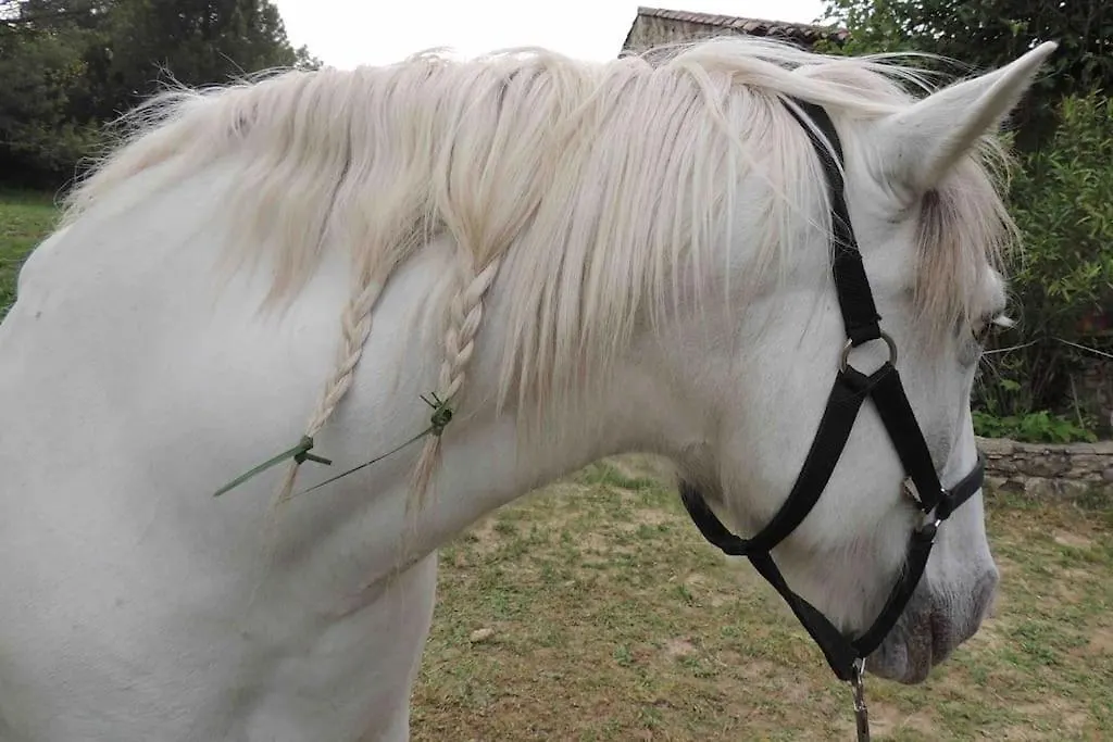 Eco-Gite En Ardeche Viviers